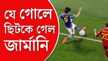 গোল বিতর্কে জাপান, বিশ্বকাপ শেষ জার্মানির