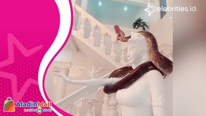 Bikin Heboh, Ular Piton Dijadikan Penjaga oleh Pemilik Rumah Mewah