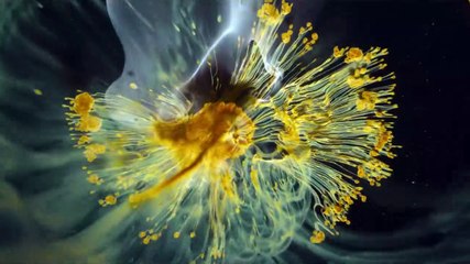 Voyage of Time : Au fil de la vie Bande-annonce (UK)