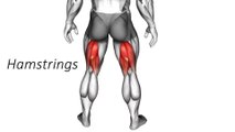 Best Glutes Hamstrings Quadriceps Calves Exercises