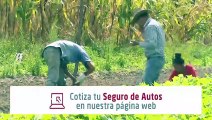 Gobierno pretende atender necesidades agrícolas con préstamos de BANADESA