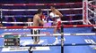 Emiliano Vargas vs Julio Martinez (12-11-2022) Full Fight