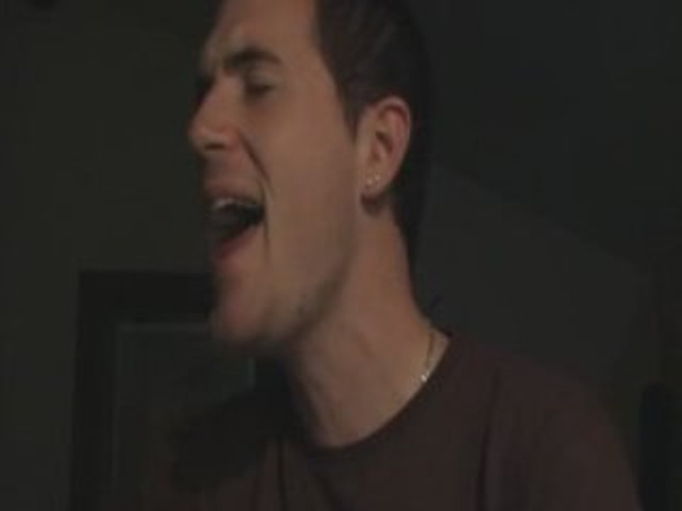 Dig - incubus cover