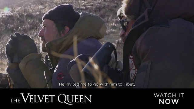 La Panthère des neiges Bande-annonce (EN)