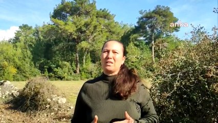 Muğla’da Akbelen ormanı davasında ‘yürütmeyi durdurma’ kararı kaldırıldı, çevreciler tepkili: "Bu baskılar bizi yıldıramaz"