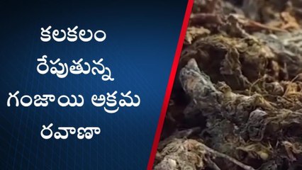 నెల్లూరు జిల్లా: మరోసారి గంజాయి కలకలం... ఓ ఇంట్లో 6.3 కేజీలు...