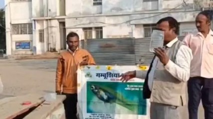 सीहोर: स्वास्थ्य विभाग की पहल, पानी में डाली जा रहीं मच्छरों के लार्वा खाने वाली मछलियां