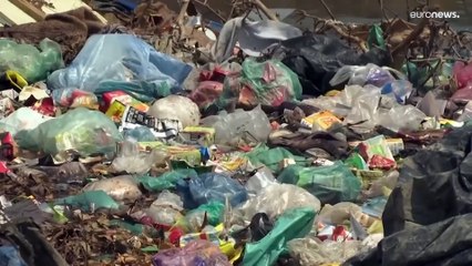 Verhandlungen über Plastikmüll-Abkommen: Umweltschützer sind zufrieden