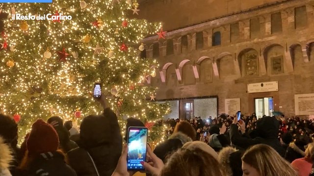 Bologna, c'è già aria di Natale: l'accensione del maxi abete