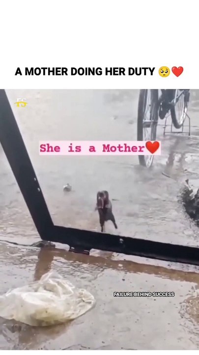 கொட்டும் மழையில் குட்டிகளை காக்க போராடிய தாய் எலி