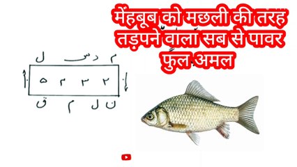 प्यार को मनाने का अमल  || मेहबूब को अपने पास बुलाने का वजीफा