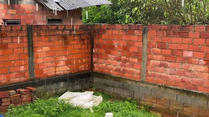 Brick Wall Falls into River