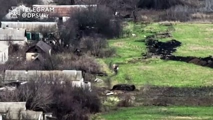 Месть за гуся