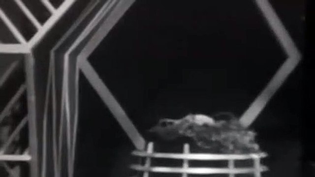 Doctor Who S04E43X01 The Evil Of The Daleks The Final End (1963–1989)