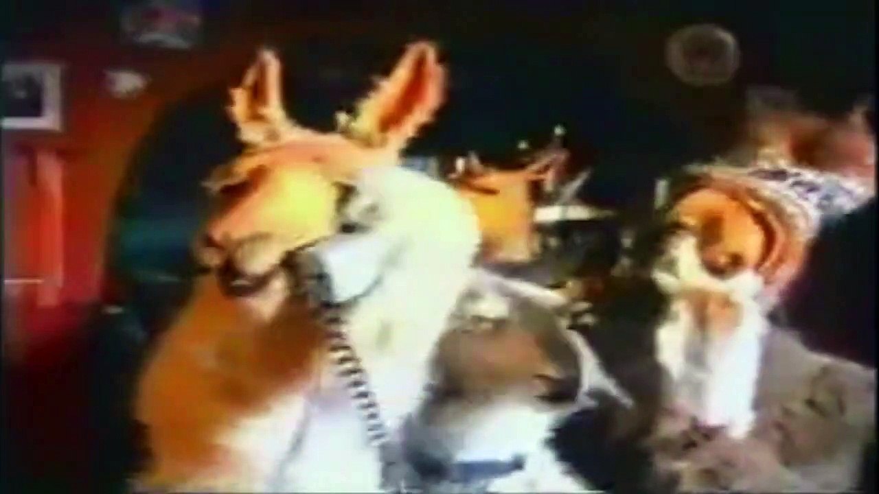 La Llama que llama - Las siguientes empresas... - Telecom - Publicidad (1999-2002)
