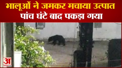 मंदिर में भालुओं का आतंक, मंदिर का तोड़ा गेट और दान पेटी