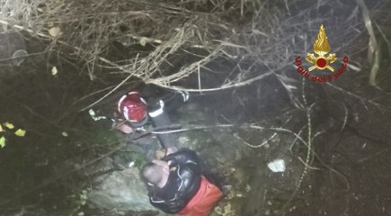 Download Video: Cade da un ponte, salvato dai vigili del fuoco