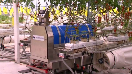 스스로 움직이며 농약 뿌리는 스마트팜 방제 로봇 / YTN