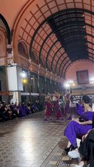 Hoa hậu gặp sự cố khi catwalk cùng mèo