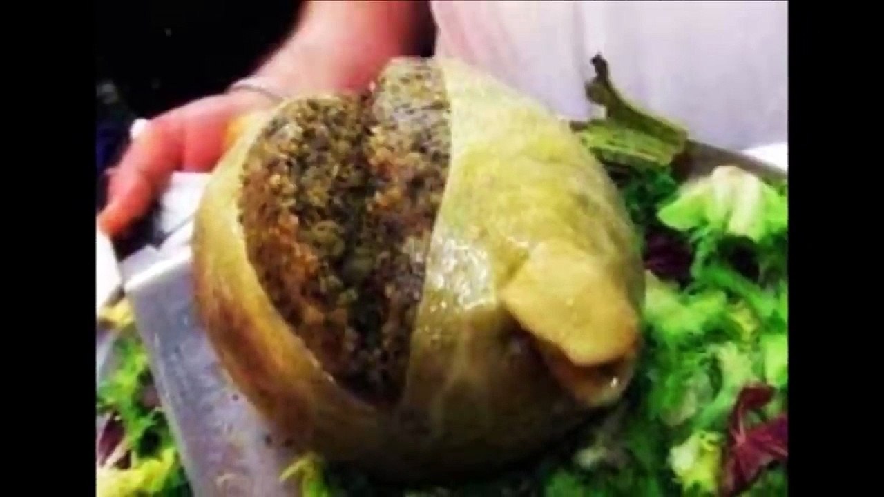 makanan yang paling menjijikan di dunia