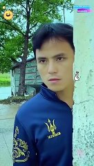 Best funny videos on dailymotion, can't stop laughing