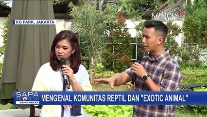 Tak Hanya Perkenalkan Reptil, Komunitas REXA Berikan Tips Menangani Ular yang Masuk Rumah