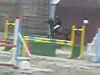 Concour Obernai 16Mars08Katania club1