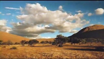 La Famille Suricate Bande-annonce (NL)