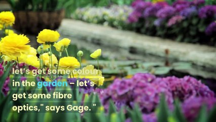 Light up your life - A Journalism Story