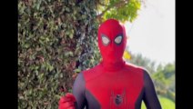 Prince Harry dresses as SPIDERMAN in hilarious Christmas