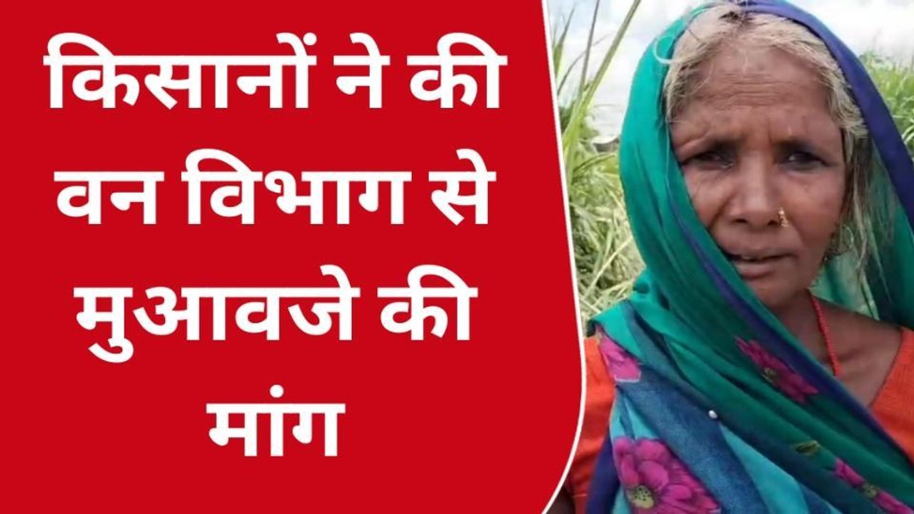 बहराइच: जंगली हाथियों ने बर्बाद की थी फसल, किसा...