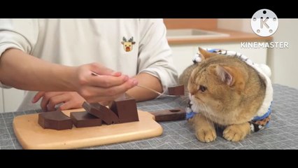 Just Need Chocolate and Milk Make This Delicious Dessert