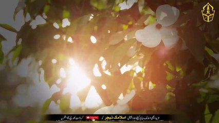 100% cure for black magic evil eye in 20 minutes - Glass Pani Par Jadu Karwany Waly Ka Chehra  - IT