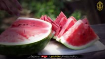 Aftari Main Tarbooz Khany Ka Mojza Dikho - Farman e Nabvi (saw) - Watermelon - IT