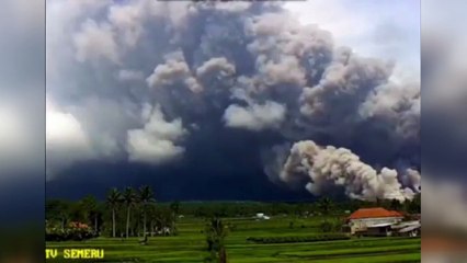 Semeru Yanardağı korkuttu: Küller altında kaldı