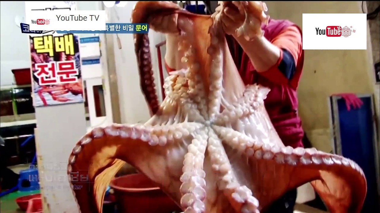 ความลับแห่งเอเชีย ชุด Korea Hunter ตอน หมึกยักษ์สำหรับไหว้บรรพบุรุษ