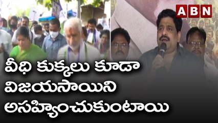 వీధి కుక్కలు కూడా విజయసాయిని అసహ్యించుకుంటాయి: Budda Venkanna Satirical Comments On YCP | ABN