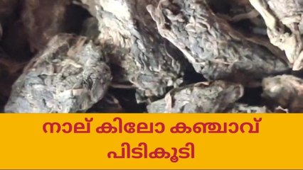 തമിഴ്‌നാട്ടിൽ നിന്ന് കടത്തിയ നാല് കിലോ കഞ്ചാവ് പിടികൂടി