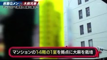 大麻兄弟vs麻薬Gメン逮捕映像