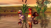 el gallo y la pata - CANCIONES de la GRANJA