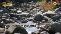 최선자와 함께하는 자연 힐링 라이프! 기적의 습관에서 함께 즐겨요~_기적의 습관 158회 예고 TV CHOSUN 221206 방송