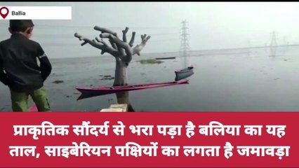 बलिया: सुरहताल पंक्षी बिहार का लुत्फ उठाने पहुंचे स्कूली बच्चे, देखे प्राकृतिक सौंदर्य