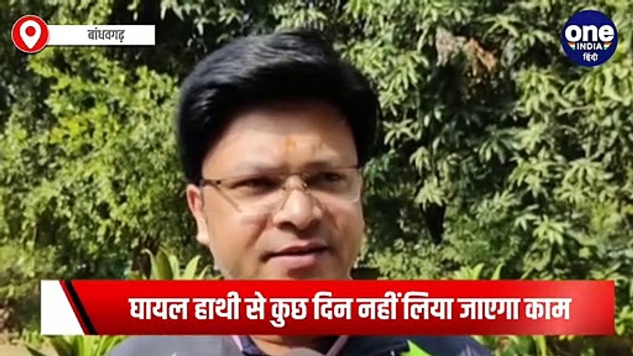 Bandhavgarh : बांधवगढ़ टाइगर रिजर्व के पालतू सूर्या हाथी पर जंगली हाथियों ने किया हमला, डॉक्टरों ने बचाई जान