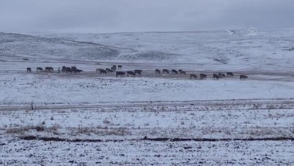 Doğu Anadolu'da kar ve soğuk hava etkili oluyor