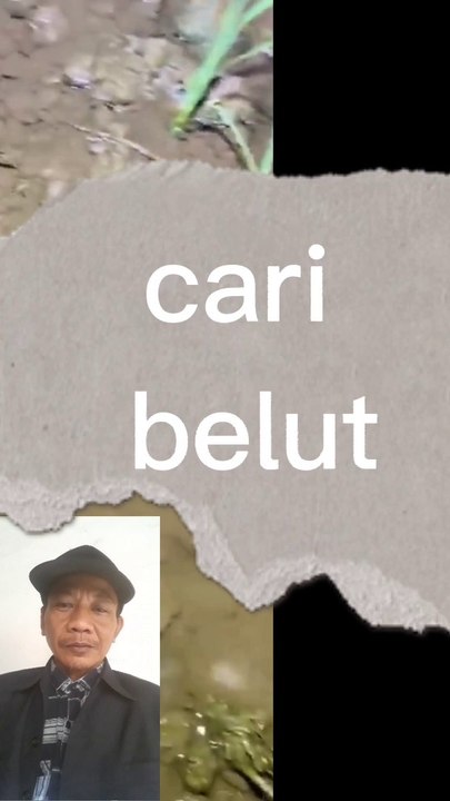 Cari belut di malam hari