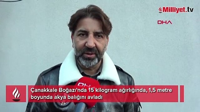 Zıpkınla 1,5 metre boyunda akya balığı avladı