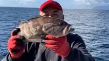 Çanakkale'de yıllar sonra ak lagos balığı yakalandı