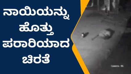ನೆಲಮಂಗಲ: ಸಾಕು ನಾಯಿಯನ್ನು ಹೊತ್ತೊಯ್ದ ಚಿರತೆ - ದೃಶ್ಯ ಸಿಸಿಟಿವಿಯಲ್ಲಿ ಸೆರೆ