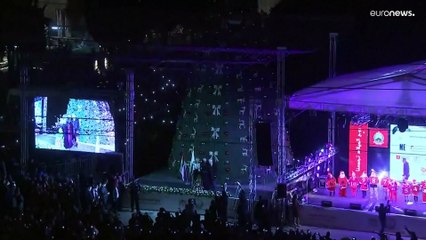 Ватикан: специально к рождеству деревьев не рубили