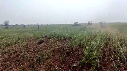 कस्बाथाना के सुमेरा भोयल वनखंड में वन विभाग ने की कार्रवाई, फैंसिंग भी की जब्त